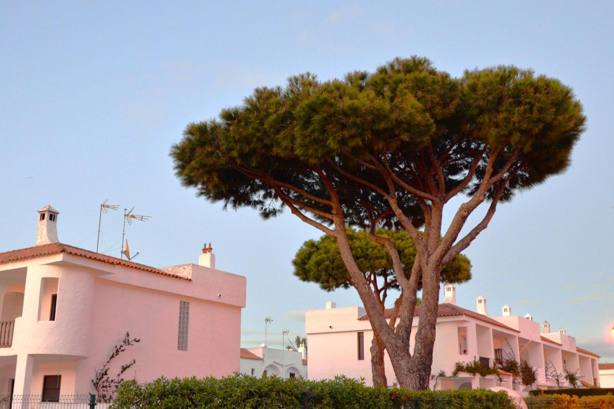 Casa Lea Villa Islantilla Bagian luar foto